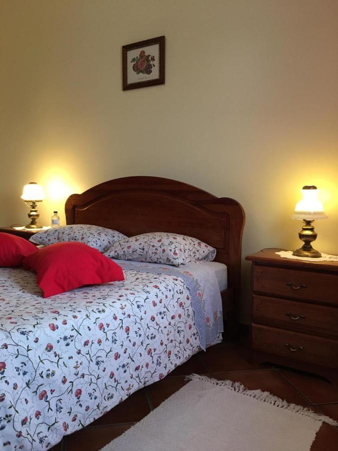 Guest House Ribatejo Salvaterra de Magos Bagian luar foto