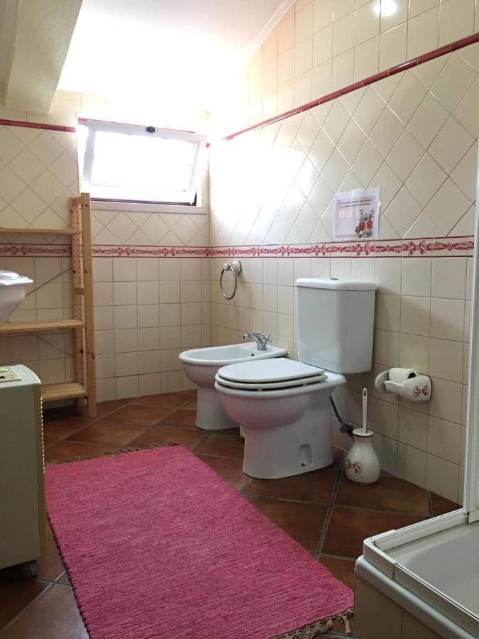 Guest House Ribatejo Salvaterra de Magos Bagian luar foto